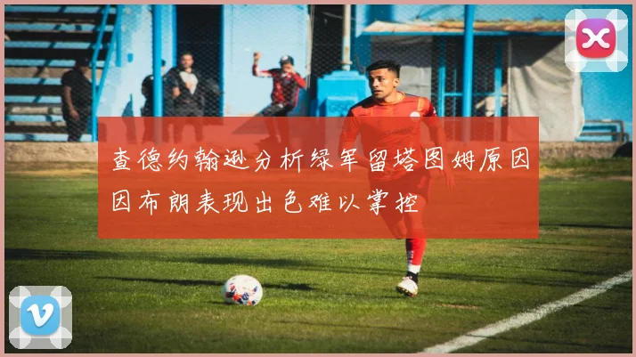 查德约翰逊分析绿军留塔图姆原因因布朗表现出色难以掌控