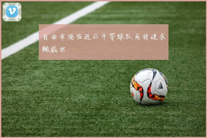 自由市场临近公牛等球队或将追求鲍威尔